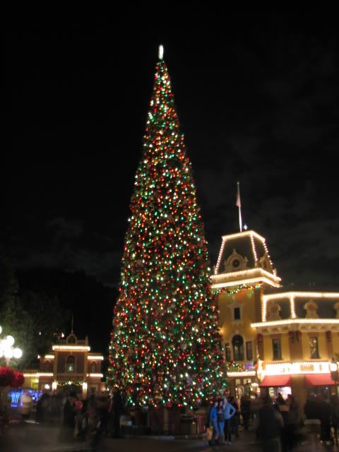 IMG_4216.jpg