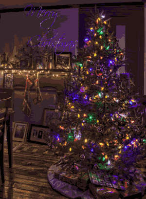 55319-Pretty-Christmas-Tree-Gif.gif