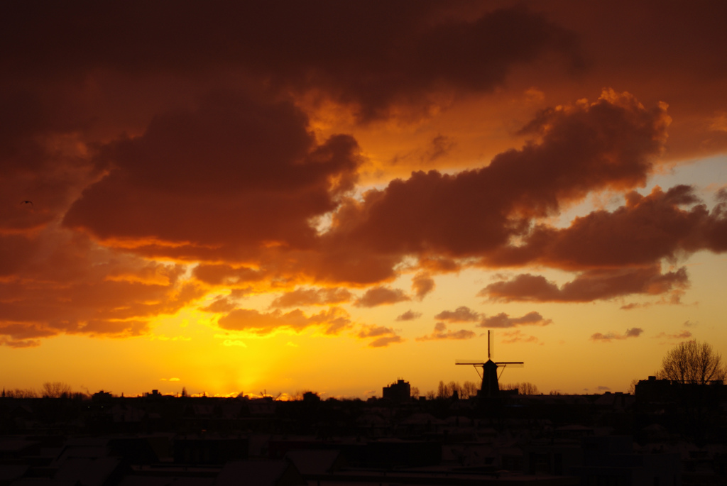 Leiden_skyline_2_by_olethros.jpg