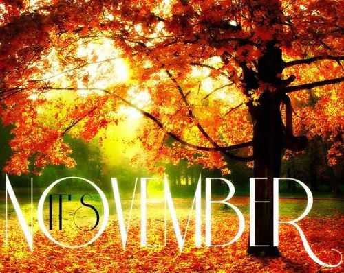 137961-It-s-November.jpg