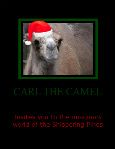 CamelCloseUp-1.jpg