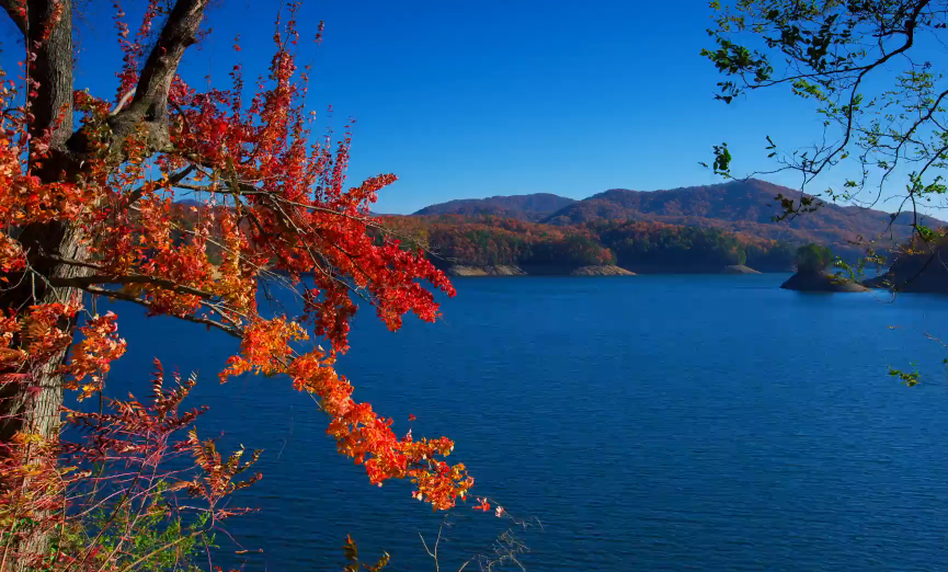 GSMNP-Video-fall-color.png