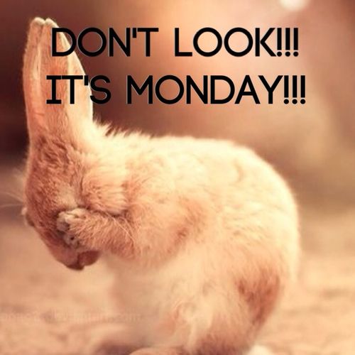 Dont-look-its-monday.jpg