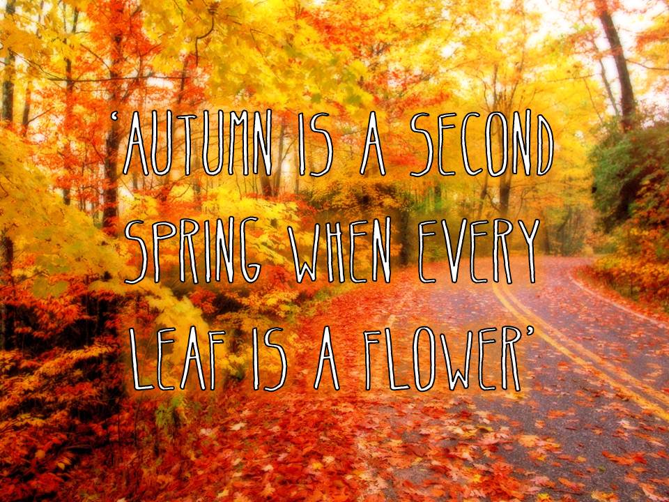 autumn+quote.jpg