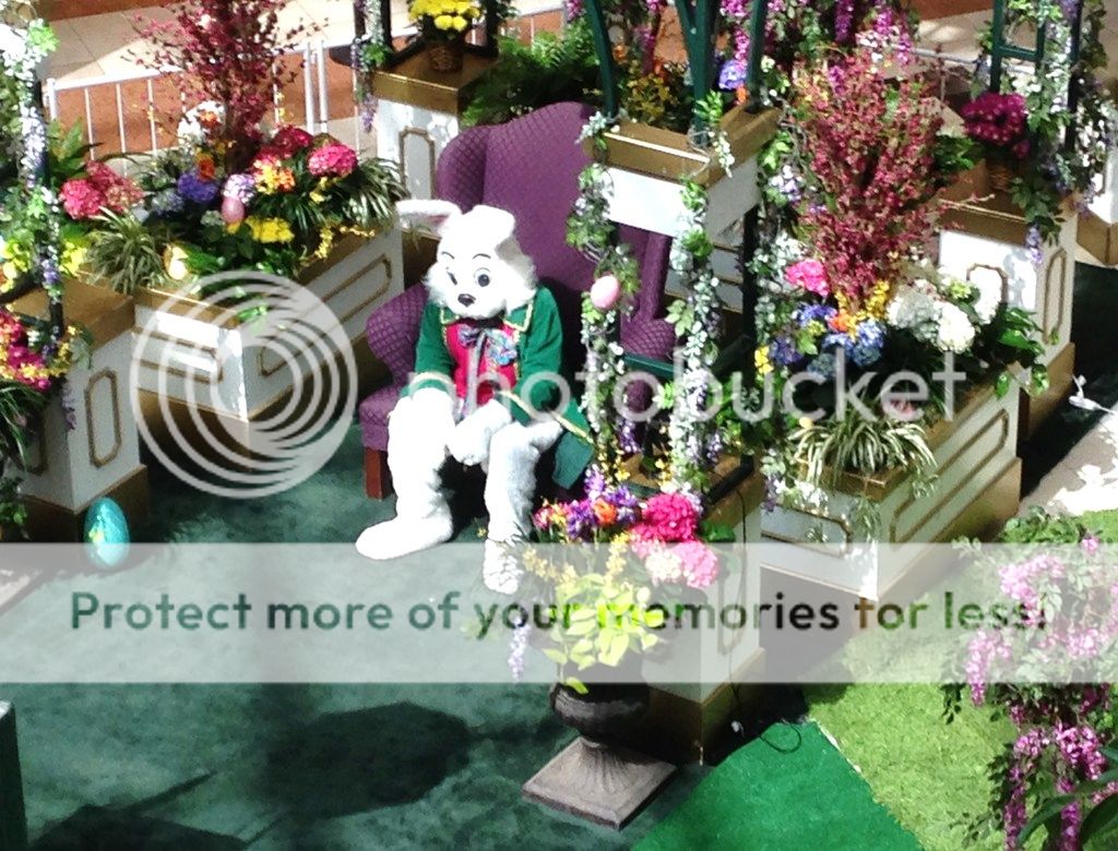 03-05-16%20Easter%20Bunny_zpsxllsgzg5.jpg