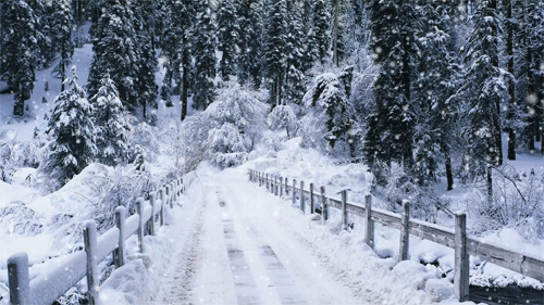tumblr_mwl57zA1GE1t2scsao1_r4_500.gif