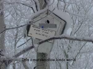 SnowyGoneSouth300x225-1.jpg