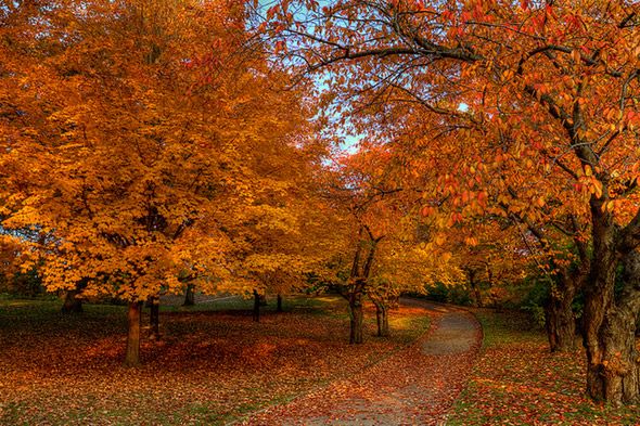 2012119-fall10.jpg