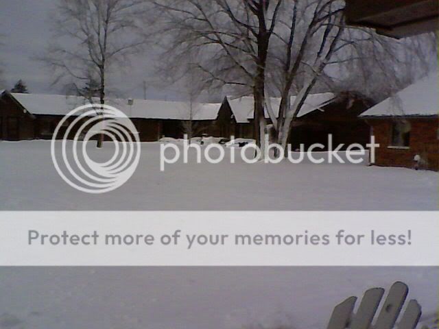 snow2.jpg
