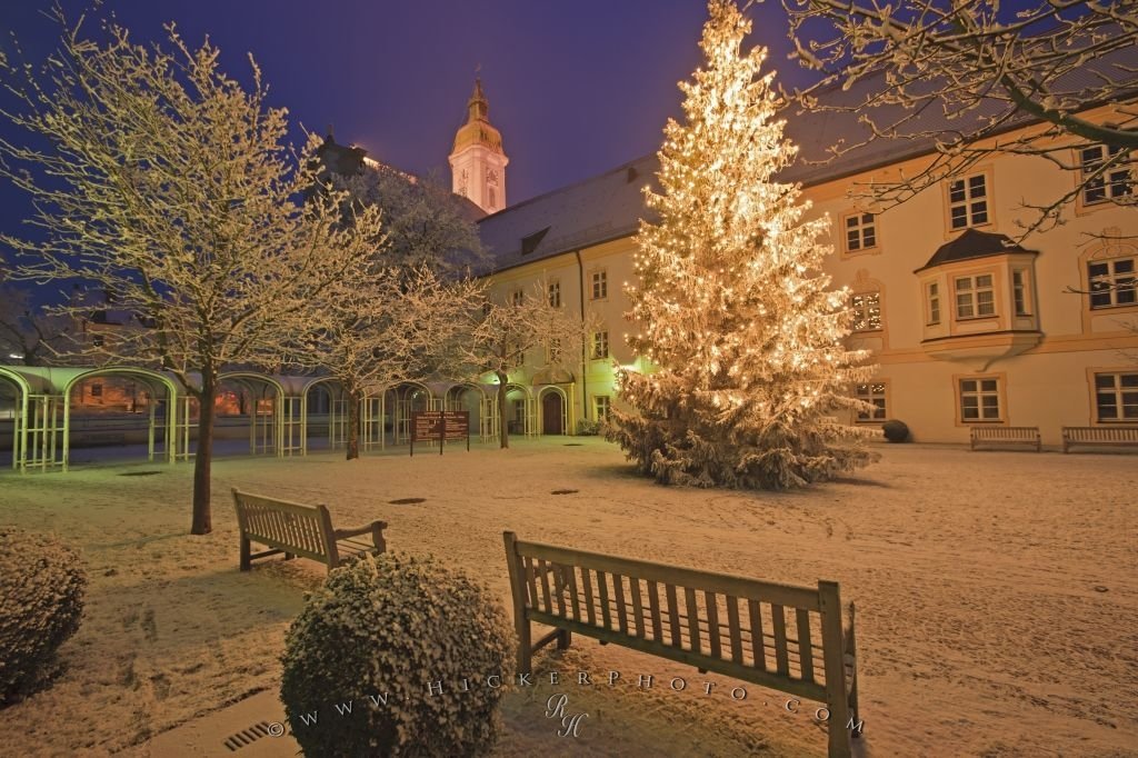 christmas-tree.jpg