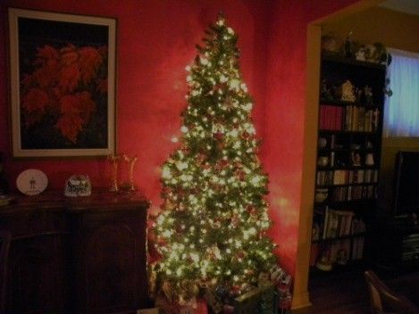 Tree.jpg