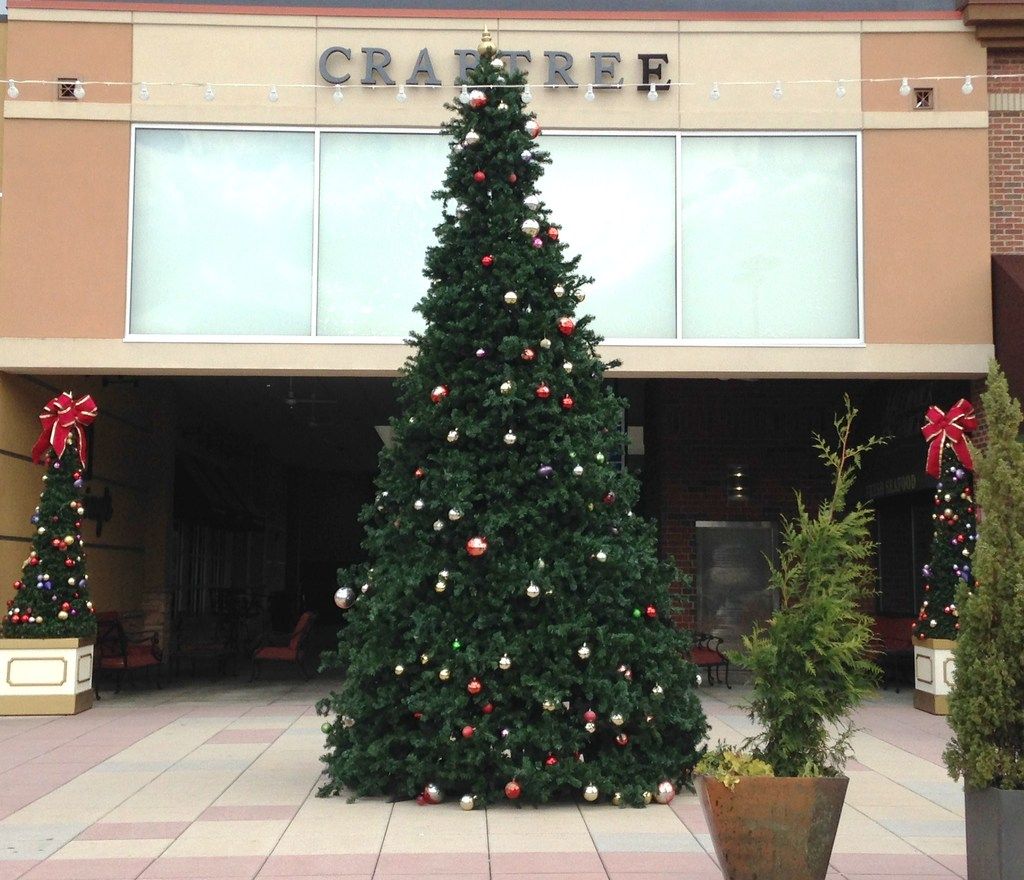 Crabtree%2023%20%2010-27-16_zpsxzsvkpzk.jpg