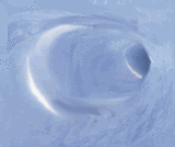 1434885w8p4eaeo05.gif