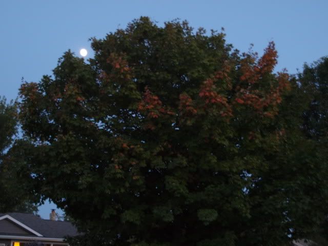 P8283778.jpg