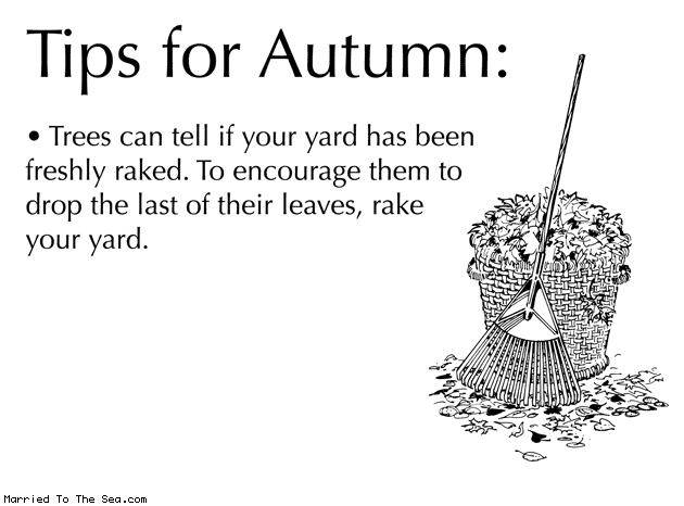 tips-for-autumn-raking.gif