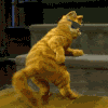Swinginpuss.gif