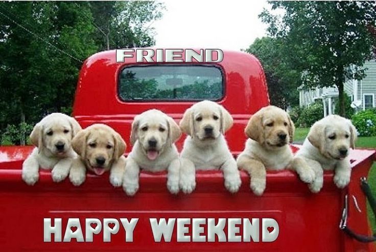 139576-Happy-Weekend.jpg