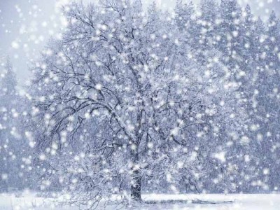 snow.jpg