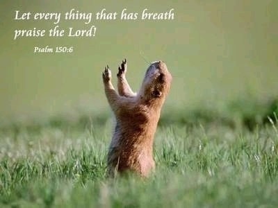 Praise-the-LORD.jpg