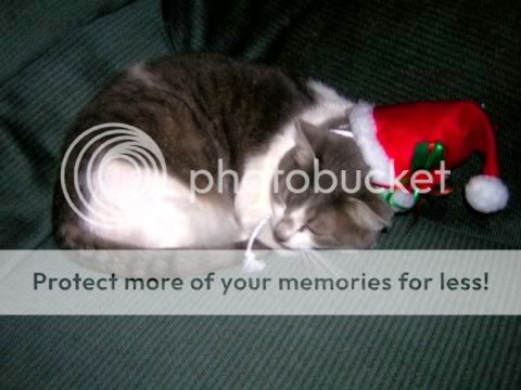 sugarplumkitty.jpg