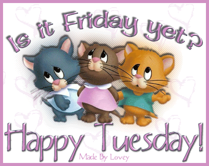 293992-Is-It-Friday-Yet-Happy-Tuesday-.gif