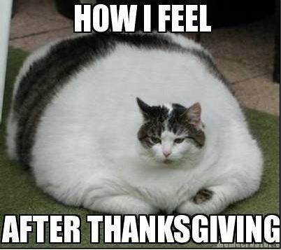 216537-Funny-Quote-For-After-Thanksgiving.jpg