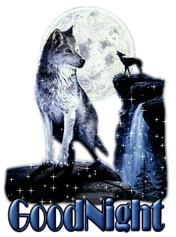graphics-good-evening-716792.gif
