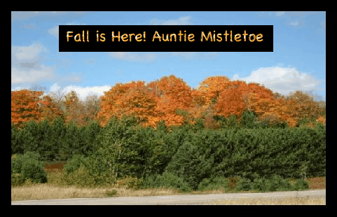 FallDriveBanner-1.gif