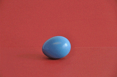 giphy.gif