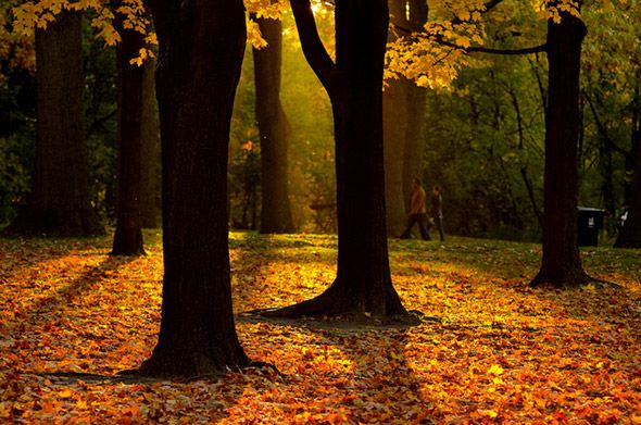 2012119-fall15.jpg