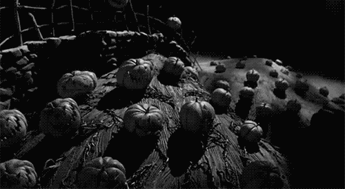 giphy.gif