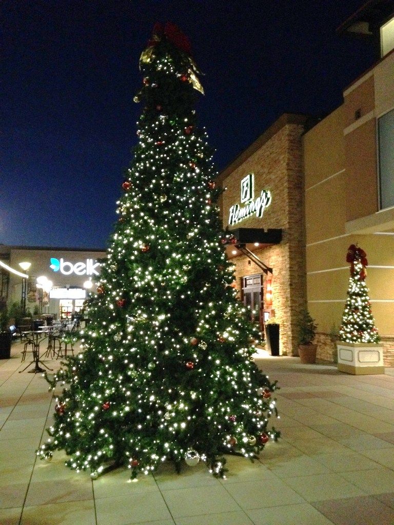 Crabtree%2047%20%2011-21-15_zpsyuqiirix.jpg