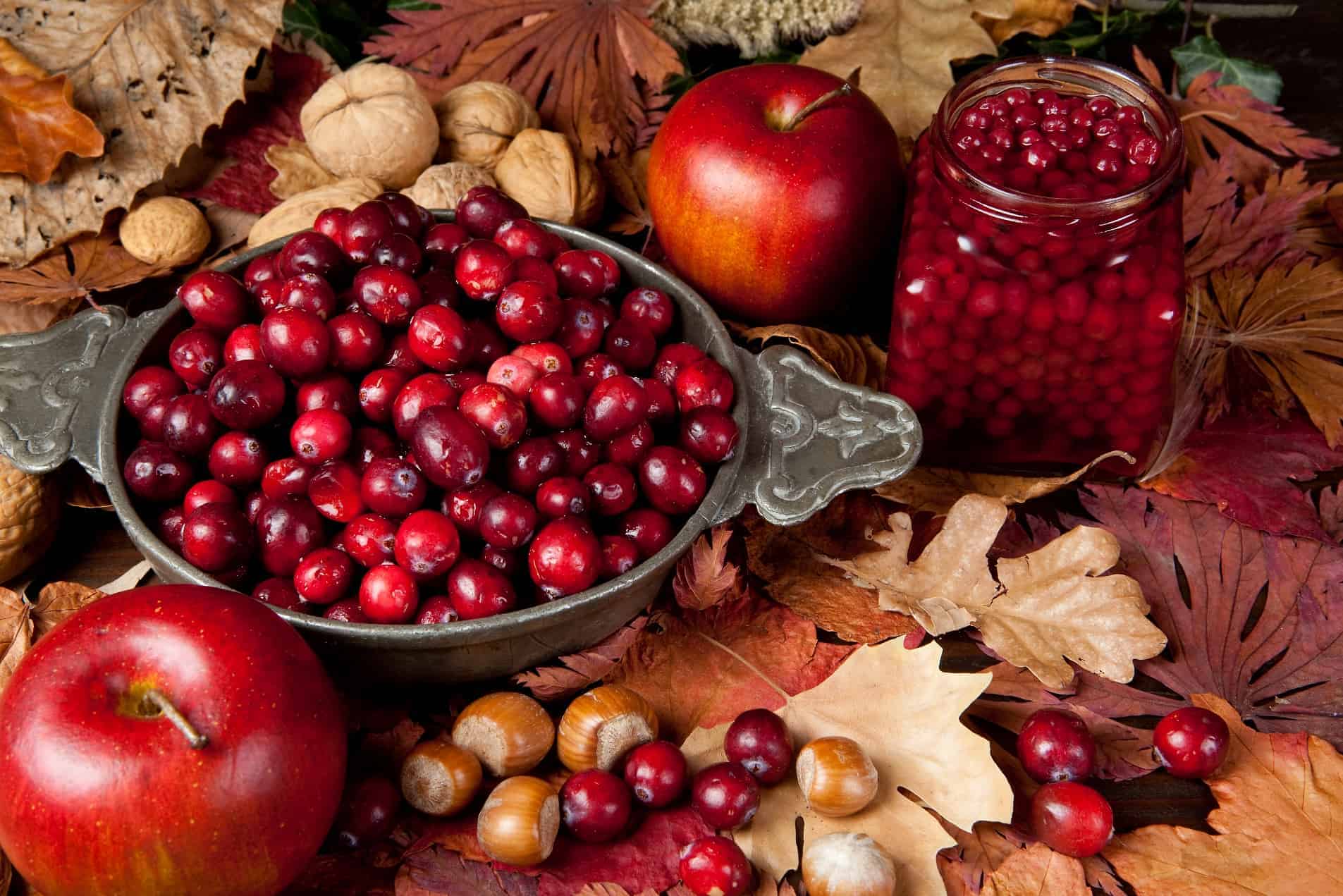7-fall-foraging-foods-sm.jpg