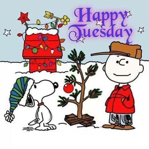 145471-Happy-Tuesday-Friends.jpg