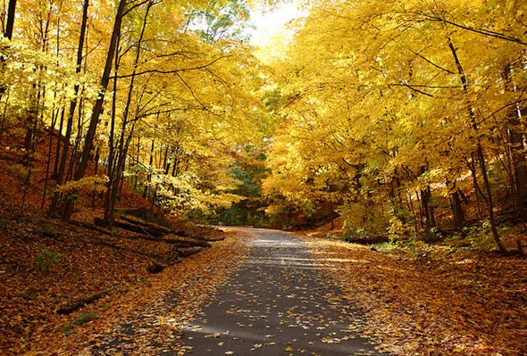 2012119-fall4.jpg