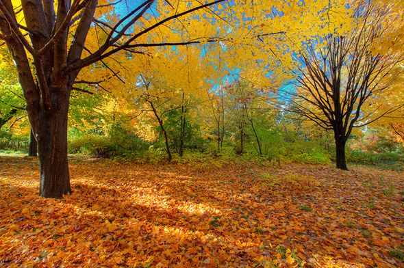 2012119-fall3.jpg
