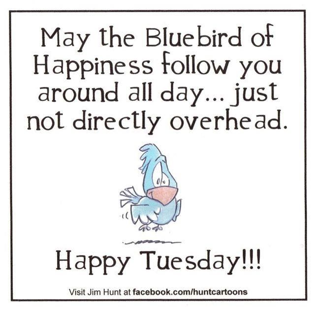 132426-Happy-Tuesday.jpg