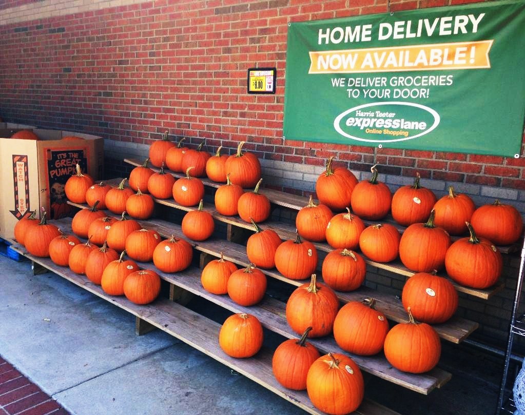 Pumpkins.jpg