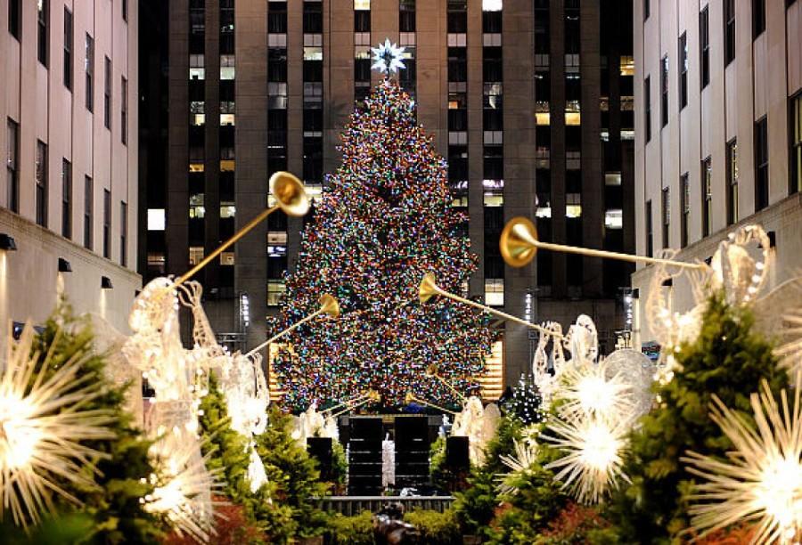 tree-900x612.jpg