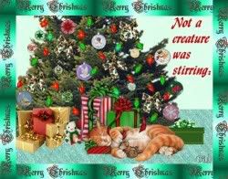XmasEveCatTree250x196.jpg