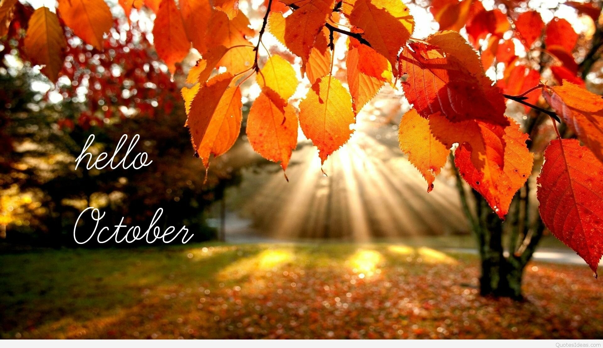 Hello-october-hd-wallpapers.jpg