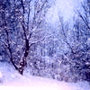 1514280pqygj2fo8p.gif