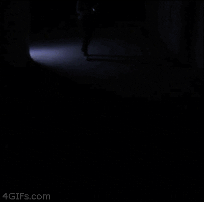 giphy.gif