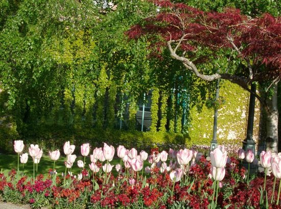 spring-time-in-victoria.jpg