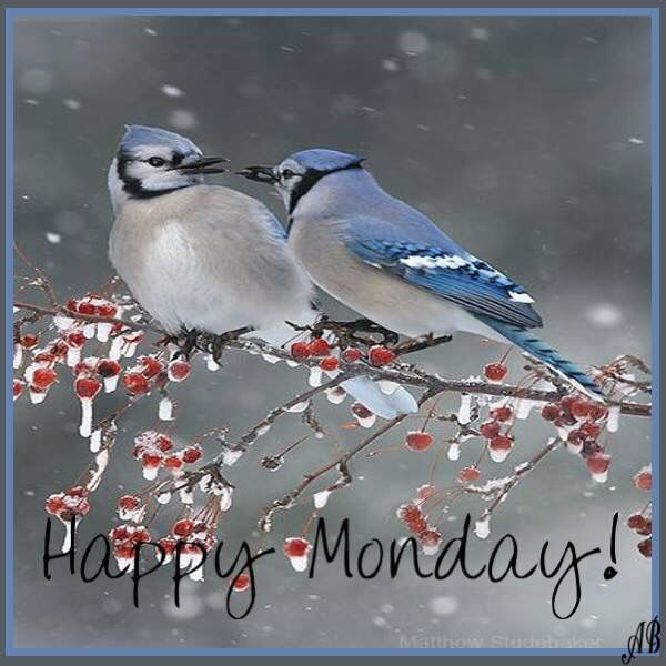 218137-Winter-Happy-Monday-Quote.jpg