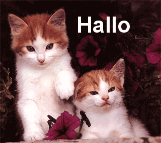 graphics-hello-118891.gif