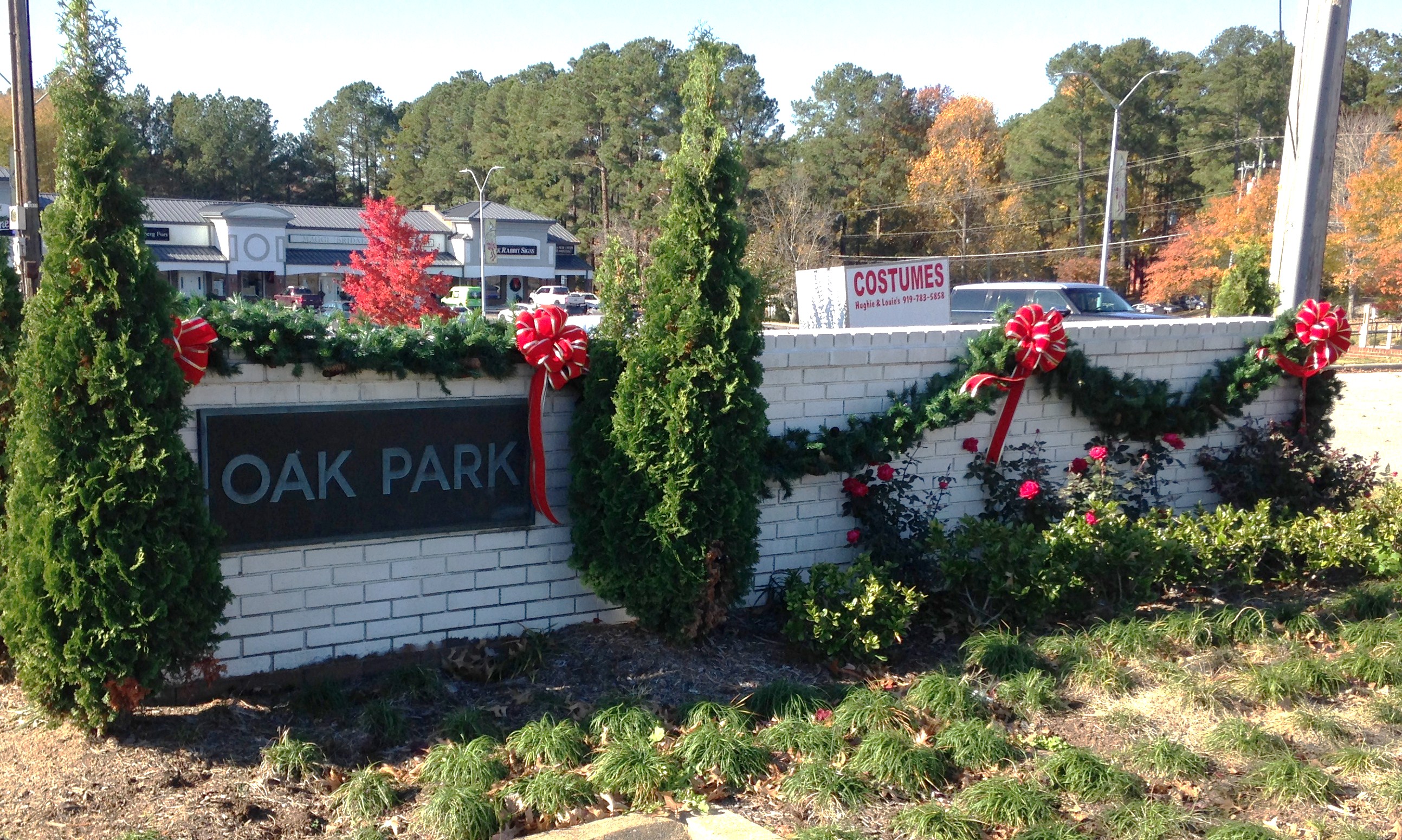 Oak_Park_4_11_22_17.jpg