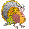 turkey_e0StruttingTurkey.gif