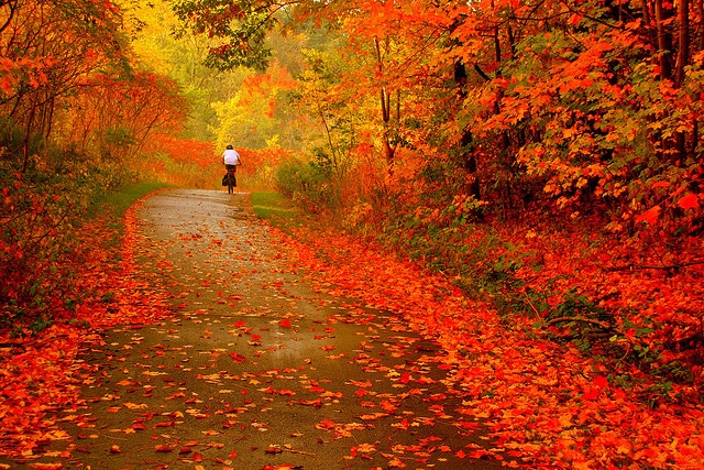 The-ambience-of-Autumn.jpg