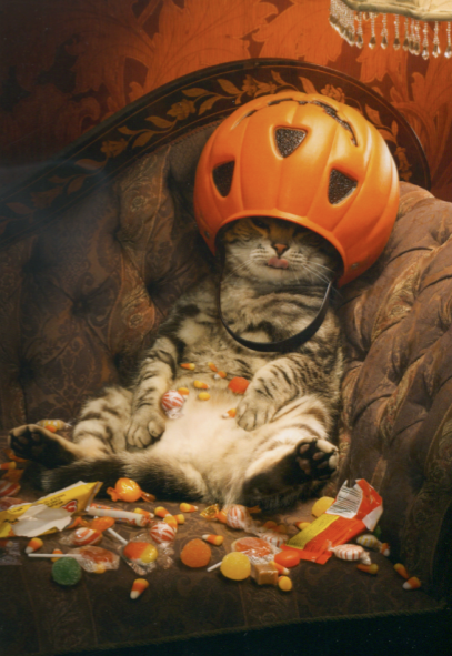 post-halloween.png